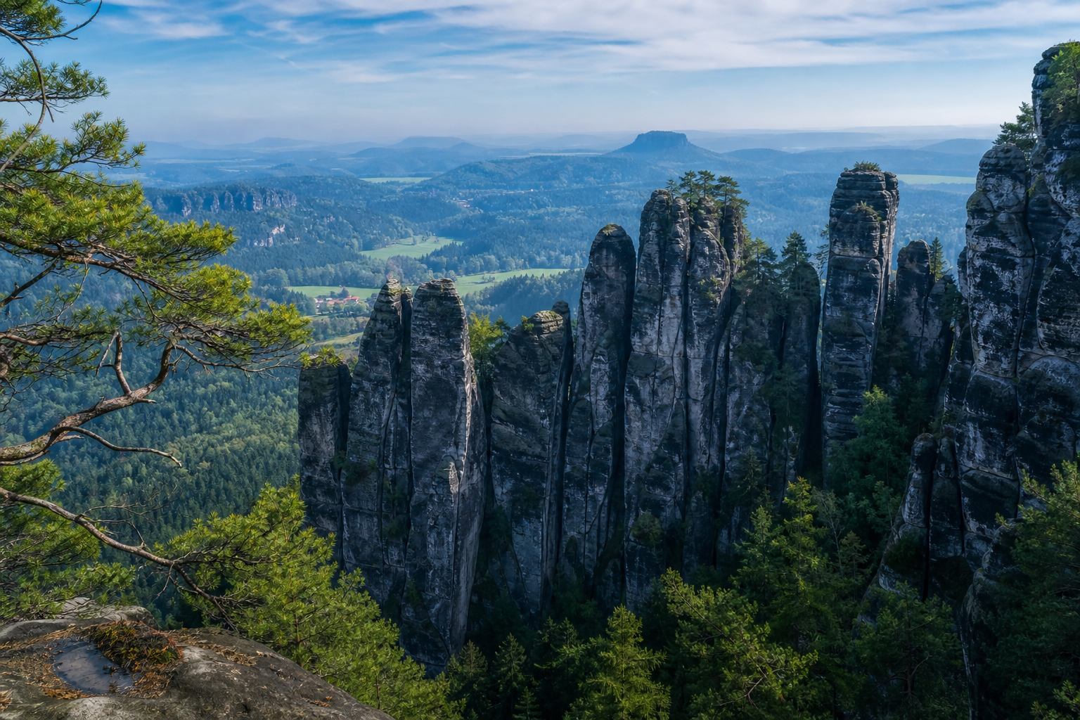 Sandsteinfelsen der Sächsischen Schweiz über dem Wald